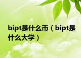 bipt是什么幣（bipt是什么大學(xué)）