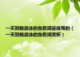一天到晚游泳的魚歌詞是誰寫的（一天到晚游泳的魚歌詞賞析）