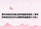 黃宗澤胡定欣演過的電視劇有哪些（黃宗澤和胡定欣合作過哪部電視劇簡(jiǎn)介介紹）