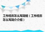 工作經(jīng)歷怎么寫簡短（工作經(jīng)歷怎么寫簡介介紹）