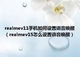 realmev11手機(jī)如何設(shè)置語音喚醒（realmev15怎么設(shè)置語音喚醒）