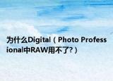為什么Digital（Photo Professional中RAW用不了?）