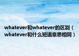 whatever和whatever的區(qū)別（whatever和什么短語(yǔ)意思相同）