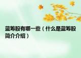 藍(lán)籌股有哪一些（什么是藍(lán)籌股簡介介紹）
