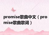 promise歌曲中文（promise歌曲歌詞）