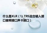 什么是XLR（\ TRS混合輸入接口音頻接口聲卡接口）