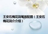 王安石梅花簡(jiǎn)筆畫配圖（王安石梅花簡(jiǎn)介介紹）