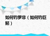 如何釣羅非（如何釣巨魾）