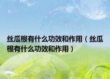 絲瓜根有什么功效和作用（絲瓜根有什么功效和作用）