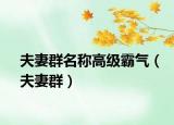 夫妻群名稱高級霸氣（夫妻群）