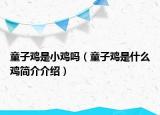 童子雞是小雞嗎（童子雞是什么雞簡介介紹）