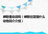 蟬聯(lián)是動(dòng)詞嗎（蟬聯(lián)往復(fù)指什么動(dòng)物簡(jiǎn)介介紹）