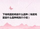 下綠雞蛋的雞是什么品種（綠皮雞蛋是什么品種雞簡(jiǎn)介介紹）