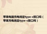 蘋(píng)果電腦充電線(xiàn)是type-c接口嗎（蘋(píng)果充電線(xiàn)是type-c接口嗎）