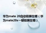 華為mate 20自動(dòng)鎖屏在哪（華為mate20x一鍵鎖屏在哪）