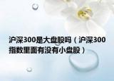 滬深300是大盤股嗎（滬深300指數(shù)里面有沒有小盤股）
