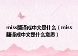 miss翻譯成中文是什么（miss翻譯成中文是什么意思）