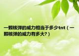 一顆核彈的威力相當(dāng)于多少tnt（一顆核彈的威力有多大?）