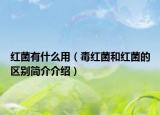 紅菌有什么用（毒紅菌和紅菌的區(qū)別簡介介紹）