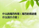 什么的尾巴作用（尾巴的用途是什么簡(jiǎn)介介紹）