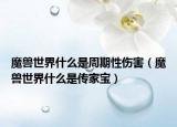 魔獸世界什么是周期性傷害（魔獸世界什么是傳家寶）
