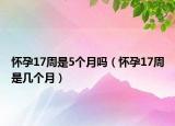 懷孕17周是5個月嗎（懷孕17周是幾個月）
