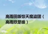 高雨田版驚天魔盜團(tuán)（高雨欣是誰）