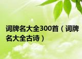 詞牌名大全300首（詞牌名大全古詩）