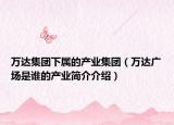 萬達集團下屬的產(chǎn)業(yè)集團（萬達廣場是誰的產(chǎn)業(yè)簡介介紹）
