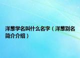 洋蔥學(xué)名叫什么名字（洋蔥別名簡介介紹）