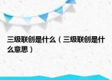 三級聯創(chuàng)是什么（三級聯創(chuàng)是什么意思）
