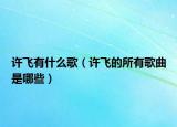 許飛有什么歌（許飛的所有歌曲是哪些）