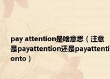 pay attention是啥意思（注意是payattention還是payattentionto）