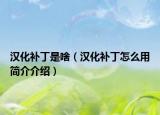 漢化補(bǔ)丁是啥（漢化補(bǔ)丁怎么用簡介介紹）