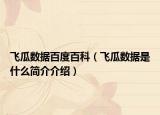 飛瓜數(shù)據(jù)百度百科（飛瓜數(shù)據(jù)是什么簡介介紹）