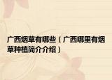 廣西煙草有哪些（廣西哪里有煙草種植簡介介紹）