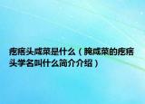 疙瘩頭咸菜是什么（腌咸菜的疙瘩頭學(xué)名叫什么簡(jiǎn)介介紹）