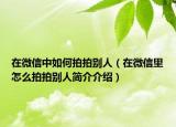 在微信中如何拍拍別人（在微信里怎么拍拍別人簡介介紹）