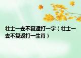 壯士一去不復(fù)返打一字（壯士一去不復(fù)返打一生肖）