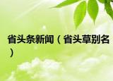 省頭條新聞（省頭草別名）