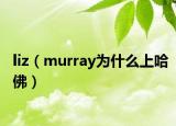 liz（murray為什么上哈佛）