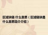 區(qū)域塊鏈 什么意思（區(qū)域鏈塊是什么意思簡介介紹）
