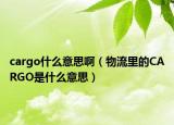 cargo什么意思?。ㄎ锪骼锏腃ARGO是什么意思）