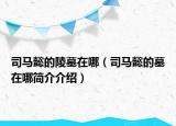 司馬懿的陵墓在哪（司馬懿的墓在哪簡介介紹）