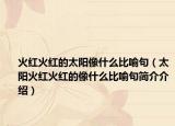 火紅火紅的太陽(yáng)像什么比喻句（太陽(yáng)火紅火紅的像什么比喻句簡(jiǎn)介介紹）