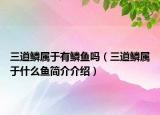 三道鱗屬于有鱗魚嗎（三道鱗屬于什么魚簡介介紹）