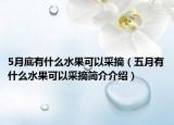 5月底有什么水果可以采摘（五月有什么水果可以采摘簡介介紹）
