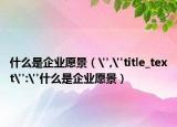 什么是企業(yè)愿景（
