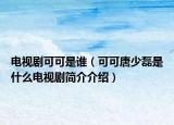 電視劇可可是誰（可可唐少磊是什么電視劇簡介介紹）