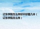 遼東學(xué)院怎么樣好不好是幾本（遼東學(xué)院怎么樣）